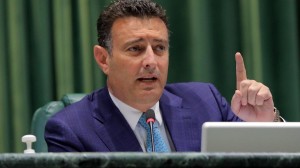 الصفدي يطالب بشطب عبارة "أطفال الأنابيب"