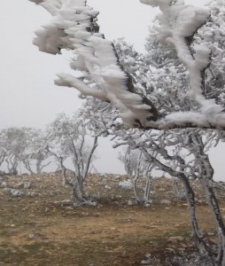 درجات حرارة تحت الصفر في الأردن .. وأقلها -4 في مطار الملكة علياء