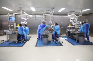 جامعة العلوم التطبيقية تستضيف دورة متقدمة في تشريح الدماغ والأعصاب بمشاركة دولية...