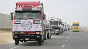 دبلوماسية الإمارات تفتح الطريق .. أول شحنة مساعدات لغزة