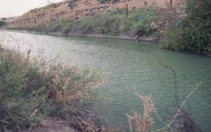 وفاتان غرقًا داخل بركة زراعية في طبقة فحل