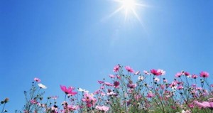 الأحد .. أجواء حارة نسبياً في أغلب المناطق