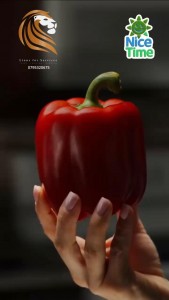 انطلاق مسابقة "ستار شيف" في عمان لتعزيز ثقافة الطعام الصحي