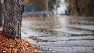 لا أمطار في الأيام المتبقية من أيلول