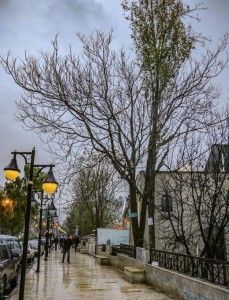 89 يوما ودخول المربعانية .. ماذا يعني بدء فصل الشتاء فلكيا الأحد؟