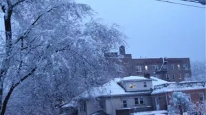 عاصفة ثلجية تقطع الكهرباء عن 600 ألف مشترك بأميركا