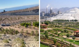 الفوسفات تطلق المرحلة الرابعة من تخضير جبل الجبس في العقبة